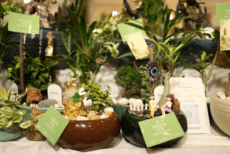 glimpse of last exhibition, photo 9